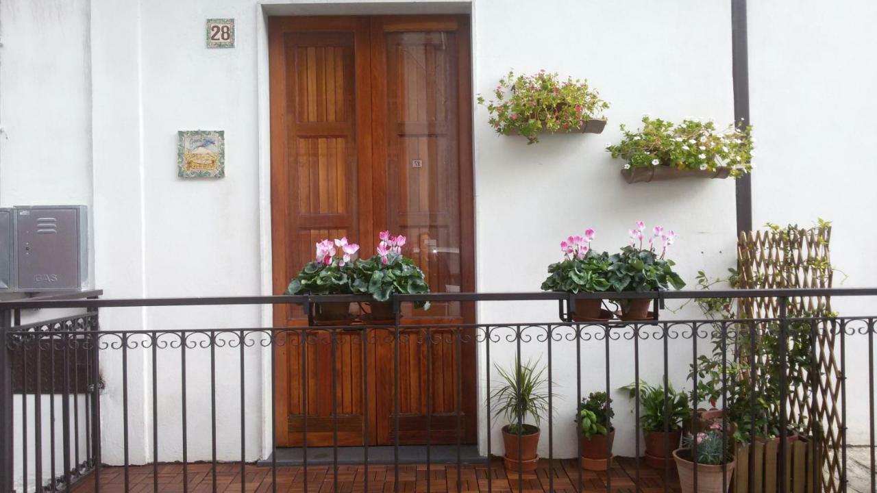 Guest House Le Ginestre Dell'Etna Belpasso Bagian luar foto